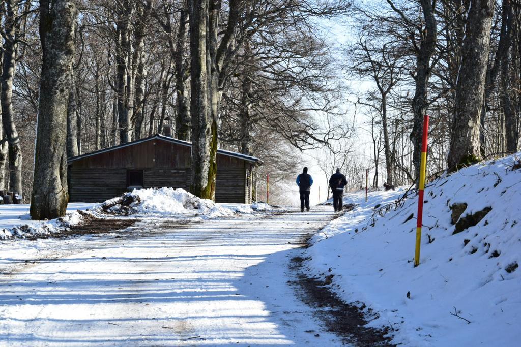 Guest House Lagotto'S Peak Radatovici Exterior foto